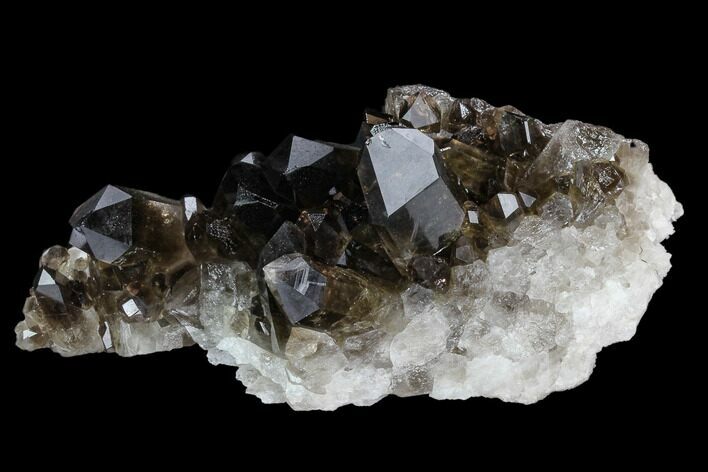 Dark Smoky Quartz Crystal Cluster - Brazil #124582